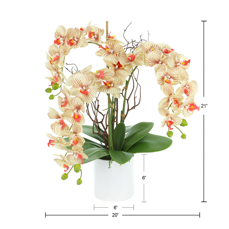 Modern Orchid Arrangement in Round Fiberstone Pot, Brown/Beige/Orange
