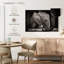 Bébé éléphant Brampt faisant la sieste-107715908