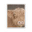 «Highland Beauty» par Cat Thurman Designs, reproduction d'art-542881416-542881417-542881527