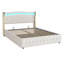 Danayjah Upholstered Bed-803665019-803665020