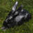 Animals Metal Garden Statue-2008389536