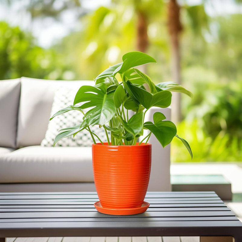 8 Inch Orange Ceramic Planter Pot
