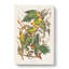 Carolina Parrots by John Audubon - Wrapped Canvas-55371053