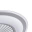 Vikaash 23" Ceiling Fan with LED Lights-1187178822