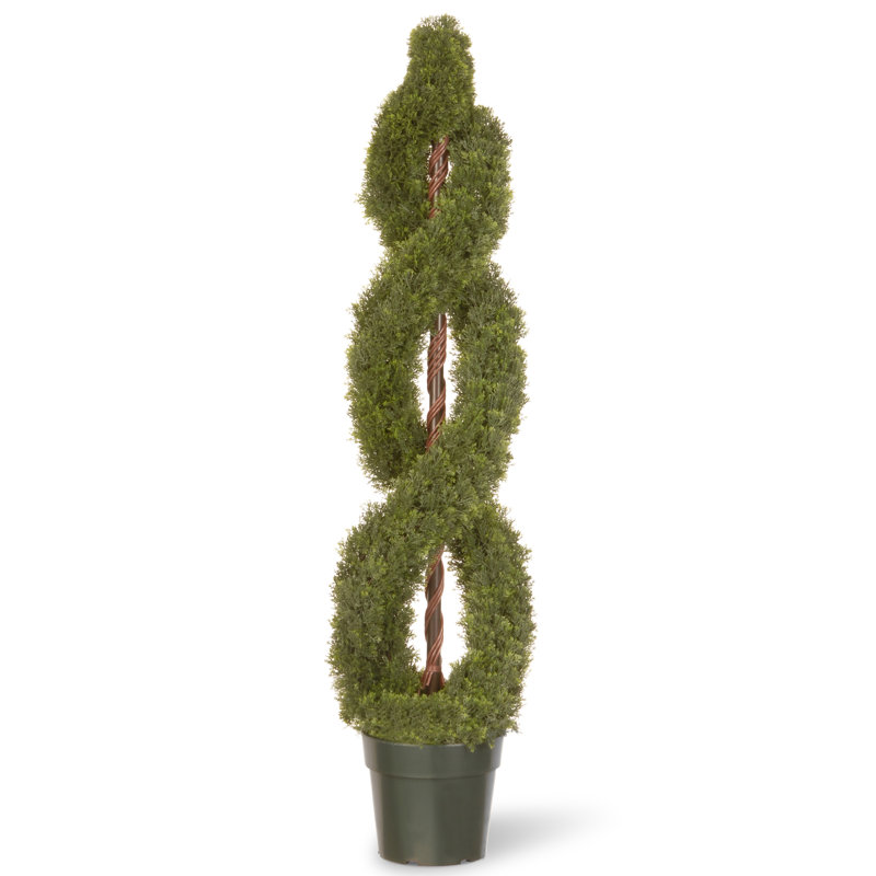 Spirale de cèdre artificiel double, H 48 po x l 12 po x P 12 po