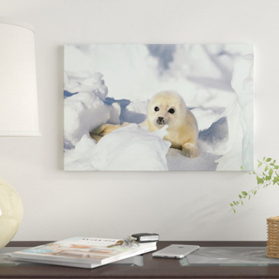 «Harp Seal Pup, Gulf Of St. Lawrence, Canada» par Gerry Ellis - reproduction d'art sur toile tendue