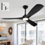 Ventilateur de plafond noir 42 po avec lumières DEL et télécommande-88202007-88202012
