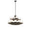 16 - Light Chandelier