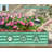 6X3x1ft Galvanized Raised Garden Bed, Outdoor Planter Garden Boxes Large Metal Planter Box For Gardening Vegetables Fruits Flowers-140347690