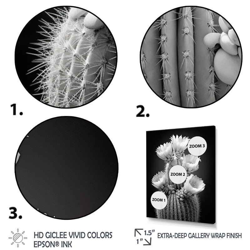«Iyaad Grey Cactus Elegance In Mon monochrome II», reproduction sur toile, Cadre photo noir, H 20 po x l 12 po x P 1 po