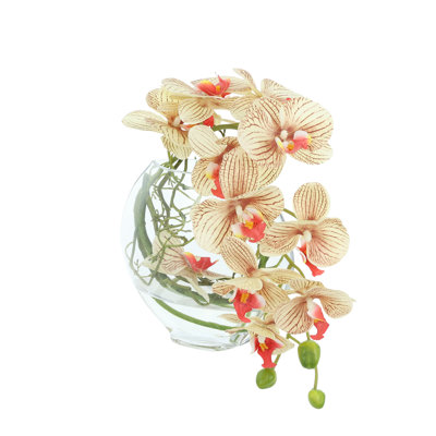Orchid and Vine Arrangement in Glass Vase