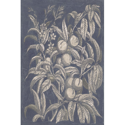 Vintage Fruit & Floral II by Megan Meagher - Wrapped Canvas Art Prints