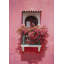 Bougainvillea Glow