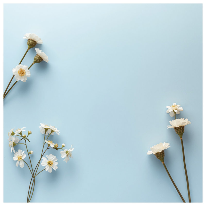 Édredon blanc sur fond bleu, Queen