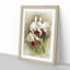 Magnolia Flowers Illustration Tab. 28 by Frederick Sander - Picture Frame Painting Print-55758928-55758933
