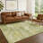 Machine Washable Indoor/Outdoor Earleville ACN2369 Abstract Rug-83044112