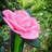 Spring Floral Windtail Windsock