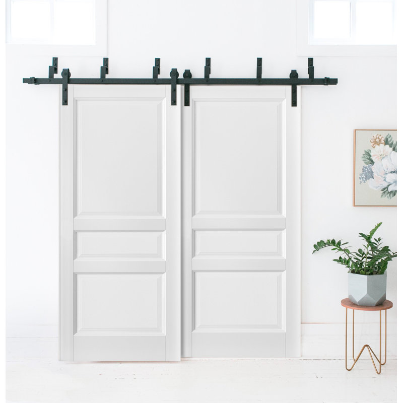 Portes blanches à panneau coulissant Lucia, 60 po x 80 po
