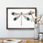 Blue Tipped Dragonfly by George Shaw - Framed Print-55544386-55544389