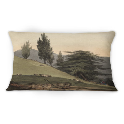 Images rétro de vieux arbres II - Coussin décoratif traditionnel imprimé 1