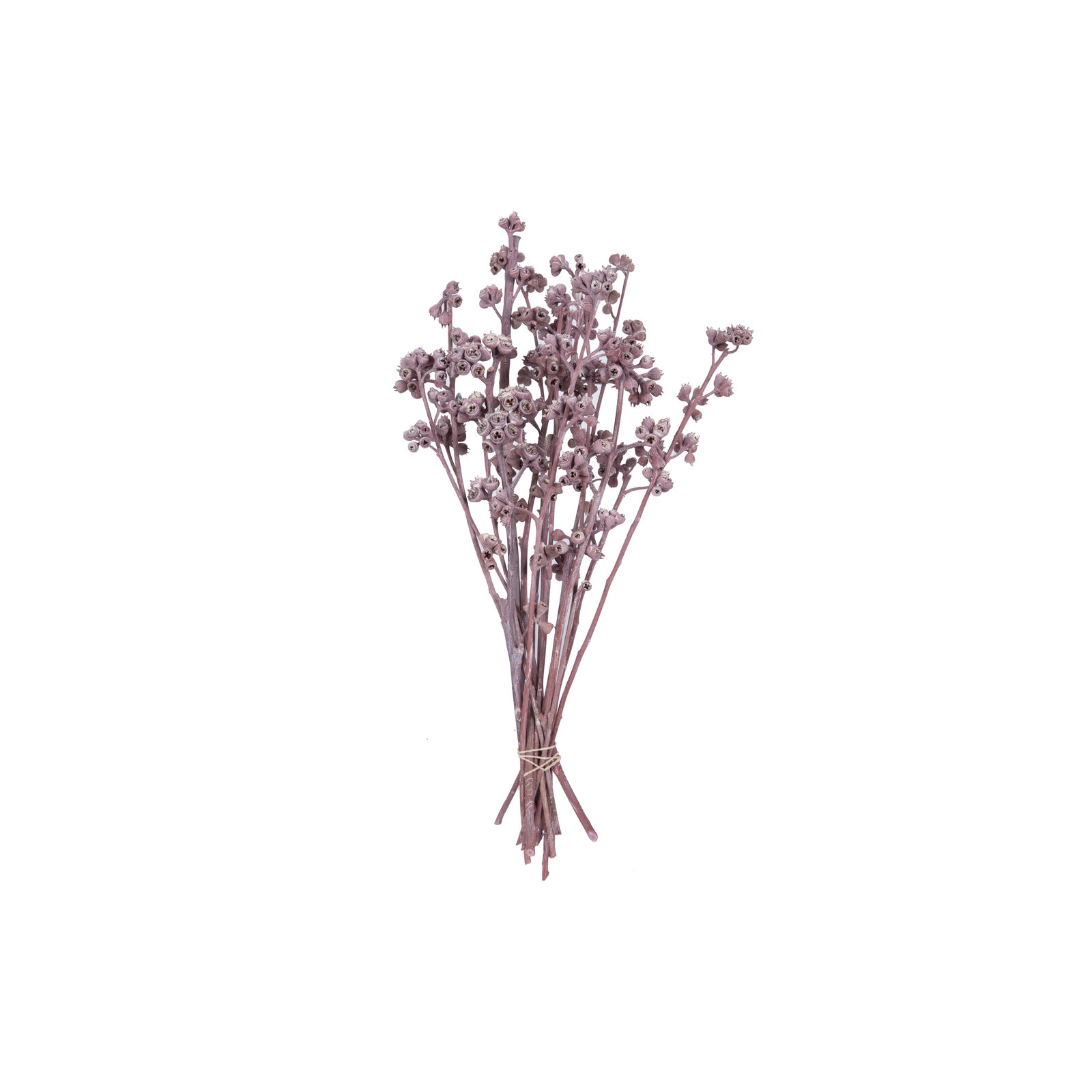 13'' Branch, Erika Pink