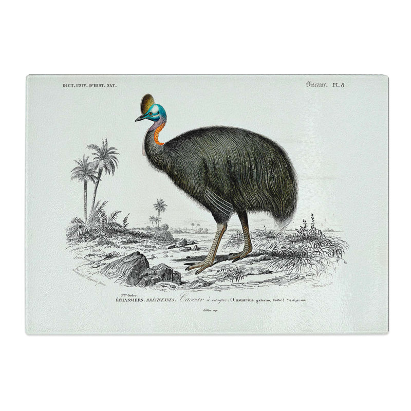 Tempered Glass Southern Cassowary by Charles D' Orbigny Chopping Board, 28.5 cm x 20 cm