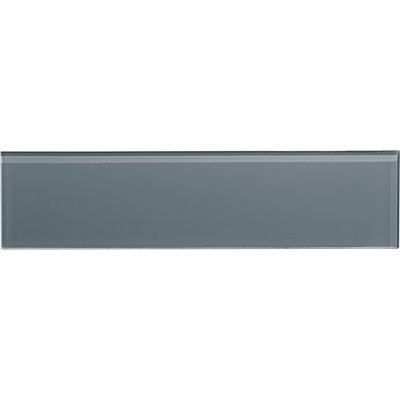 Charm School 4'' W x 16'' L Glass Subway Singular Tile