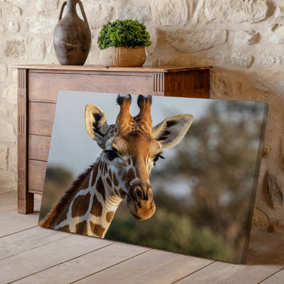 Canvas A Close Up Portrait Of A Young Giraffe Showcasing Its Wall Art Distinctive Patterned Coat With Rich Browns And Creamy Whites Canvas Wall Art