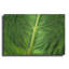 "Leaf Leaf" par Dennis Frates-1021642627