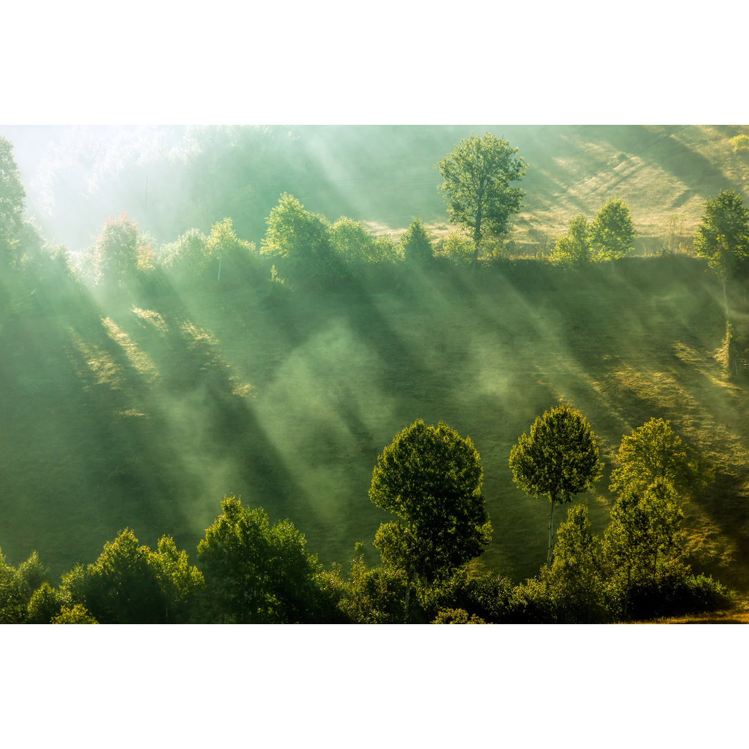 Morning At Black Sea von slide - Leinwandbild auf Leinwand