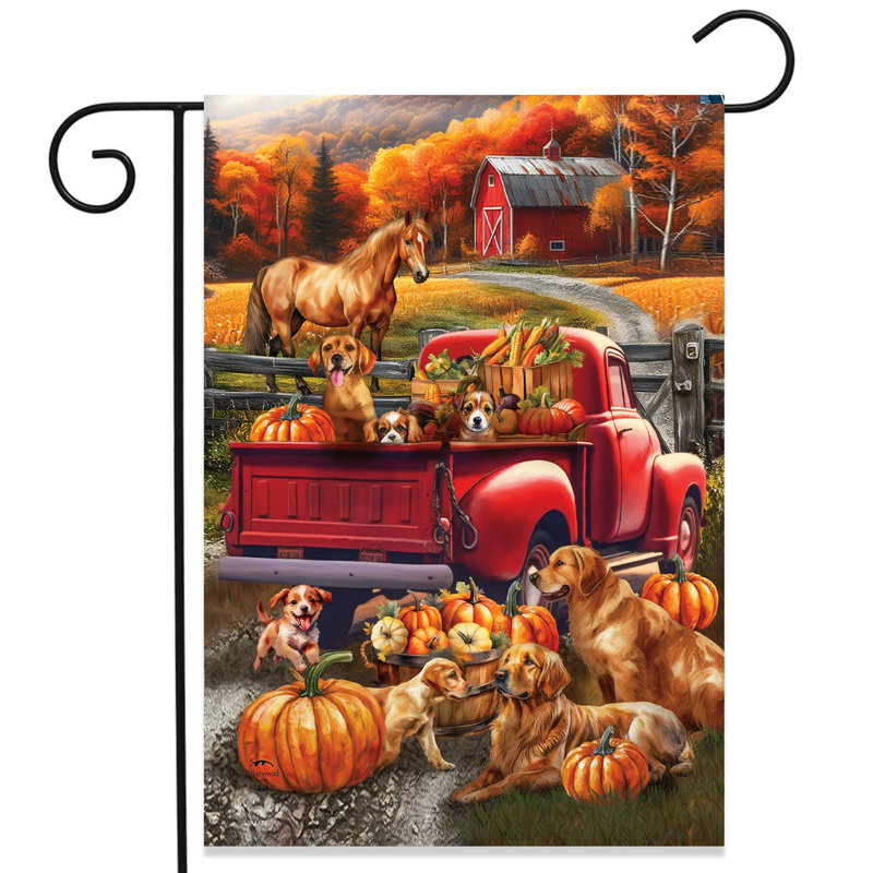 Automne chiot ramassage drapeau de jardin, Automne orange/rouge