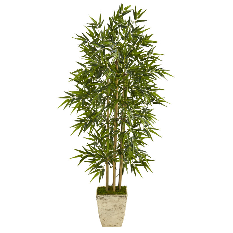 65'' Faux Bamboo Tree in Planter
