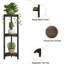 Plant Stand