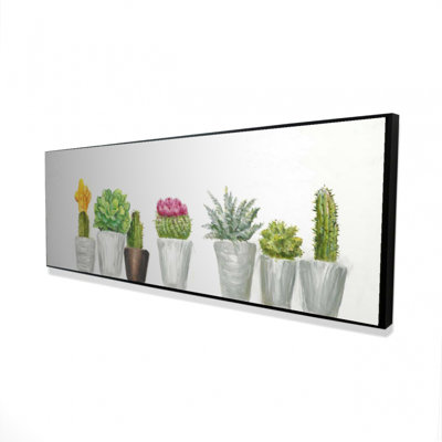 «Mini Cactus And Succulents» sur
