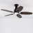 42" Modern Ceiling Fans With LED Lights and Remote Control-2113884915