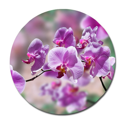 Orchidées mauves - photographie sur acrylique
