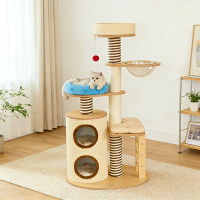 Arbre à chat Jaecia