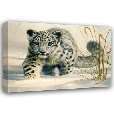 Petit léopard des neiges