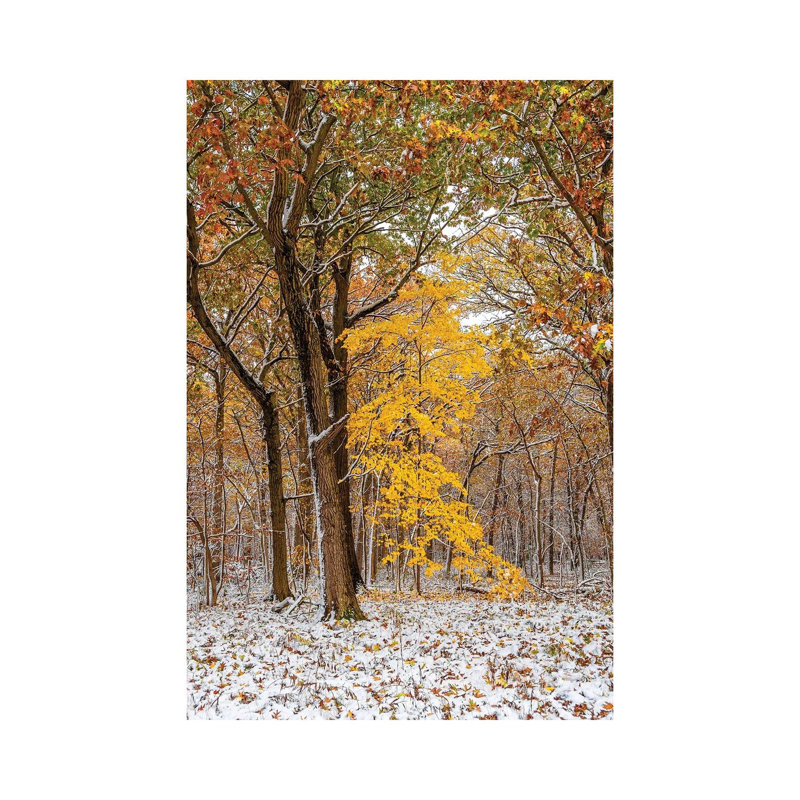 Blanc et jaune-NEJ217, H 26 po x l 18 po x 1,5 po