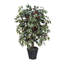 4' Artificial Capensia Bush, Rattan Basket