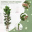 180cm Artificial Fiddle Leaf Fig Tree with Solid Wood Trunks-2104939309