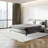 Indoor Rug-1322549901