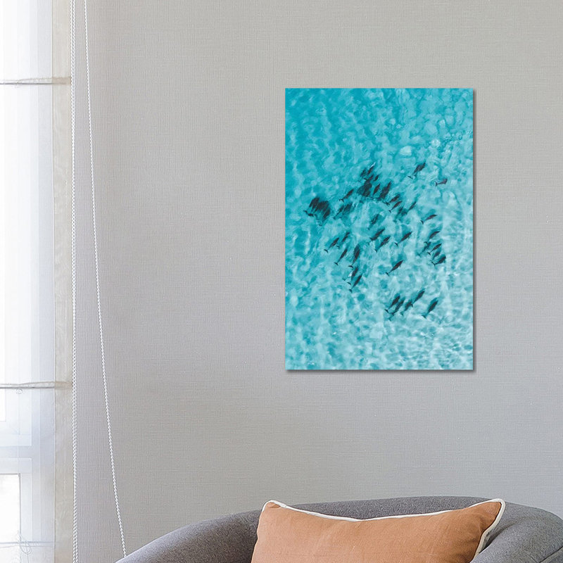 Cruisy Dolphins V by Jaxon Roberts - Wrapped Canvas Print
