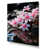 Toile tendue