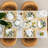 9'' Porcelain China Dinner Plate