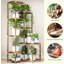 Plant Stand Indoor With Grow Light