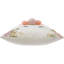 Alishan Multicolour Square Cushion