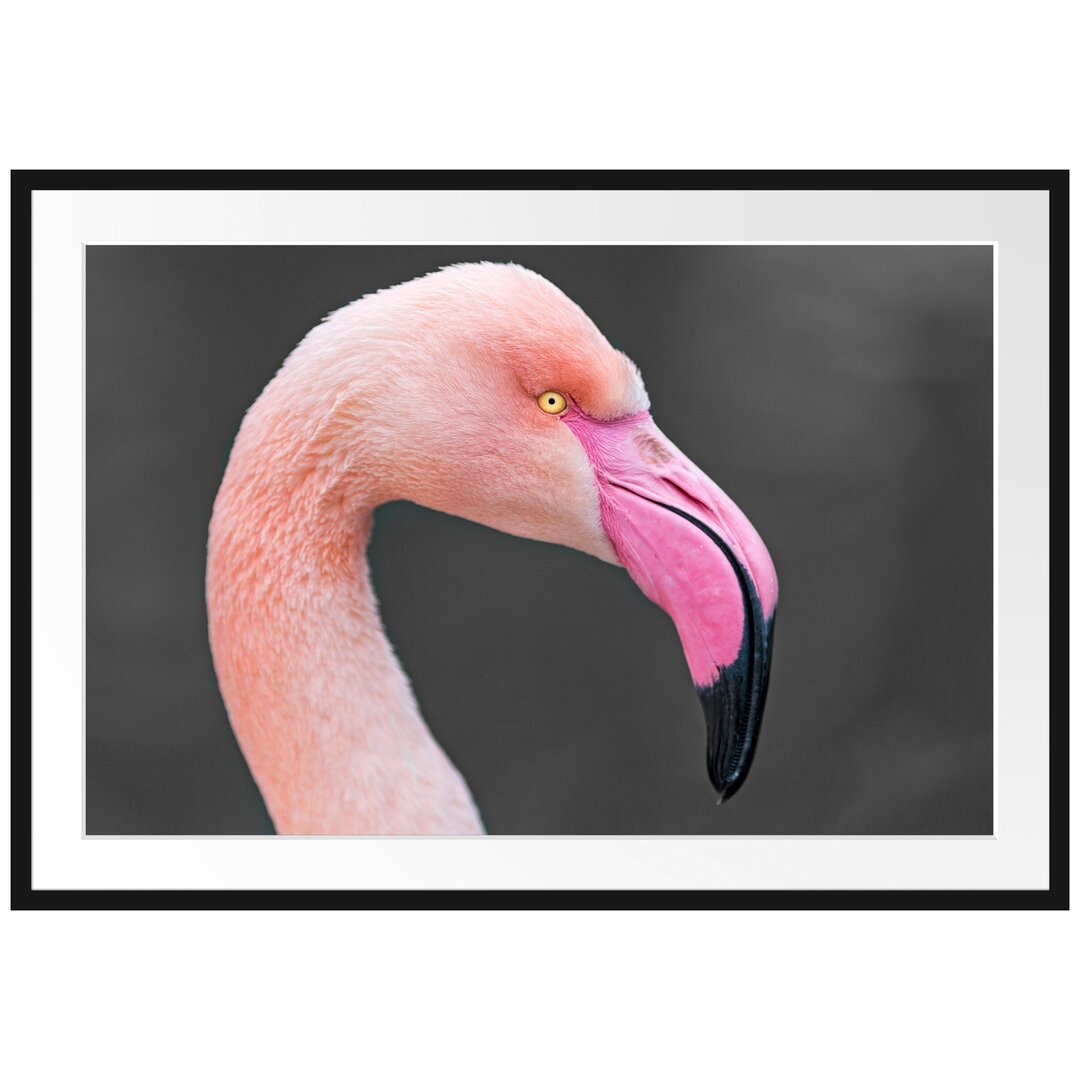 Gerahmtes Poster Flamingo im Seitenprofil