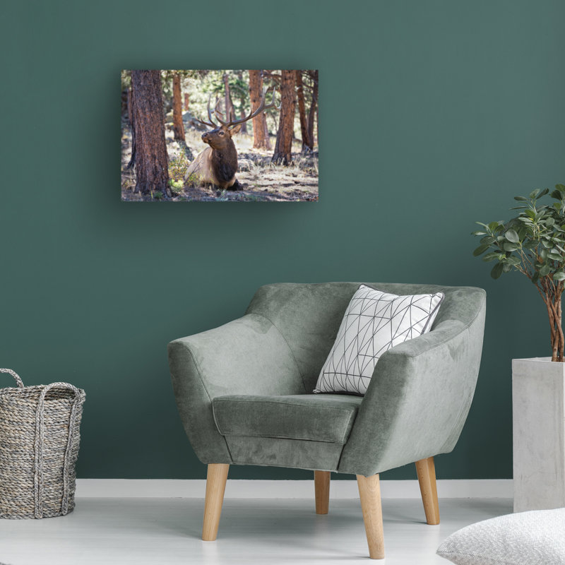 «Elk In The Woods» bolognaise sur toile, H 12 po x l 19 po