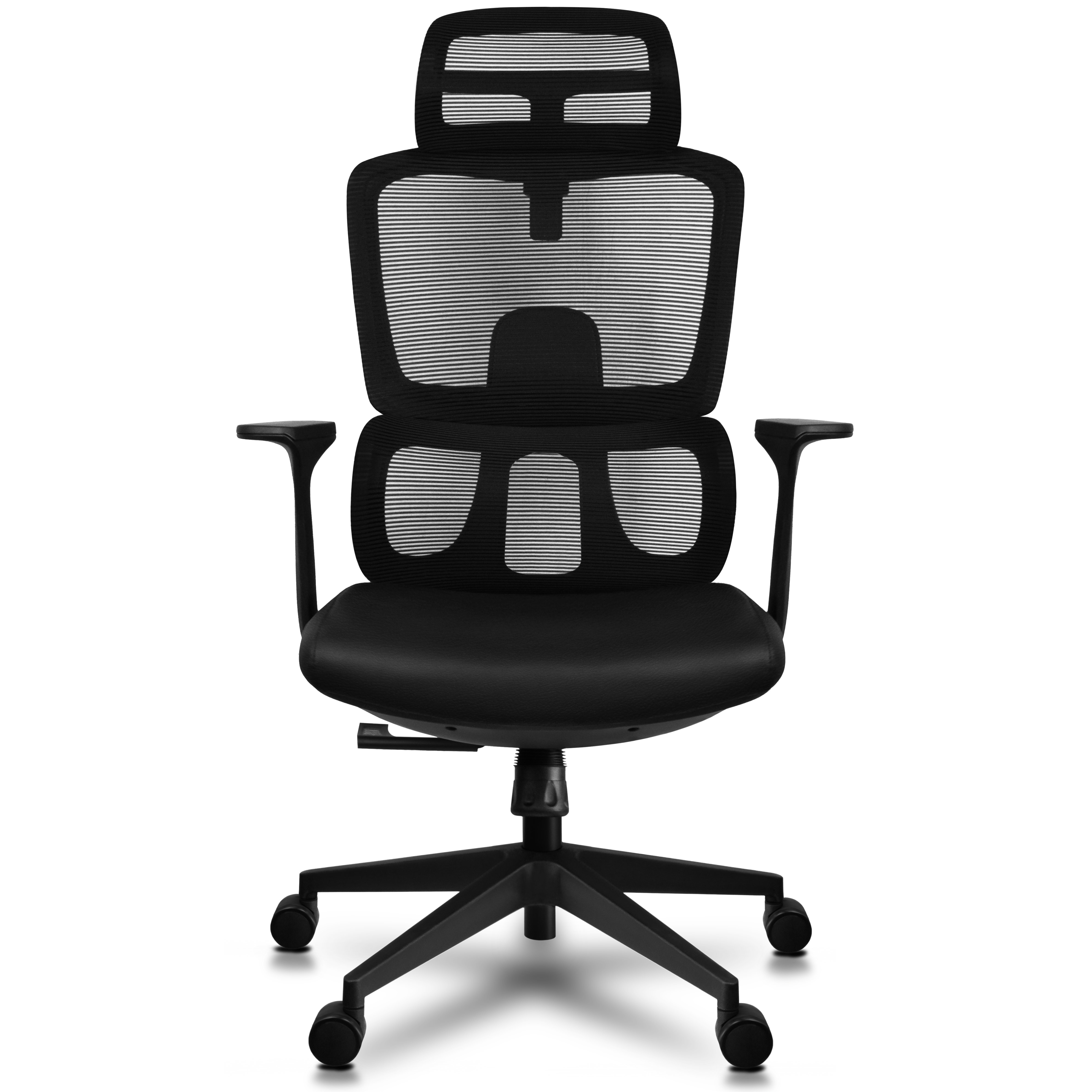 Inbox Zero Liora Ergonomic Mesh Office Chair with Headrest and Lumbar Support Wayfair